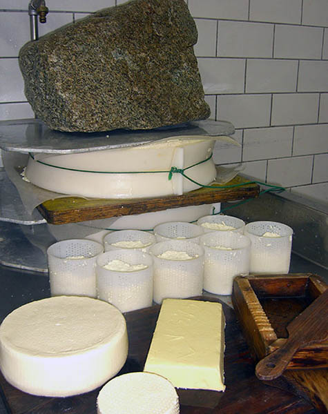 Prodotti tipici e formaggi